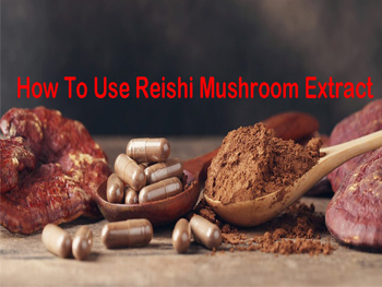How To Use Reishi Mushroom Extract Powder?